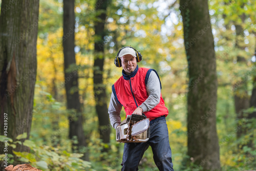 cutting a branch with chainsaw cutting a branch with chainsaw