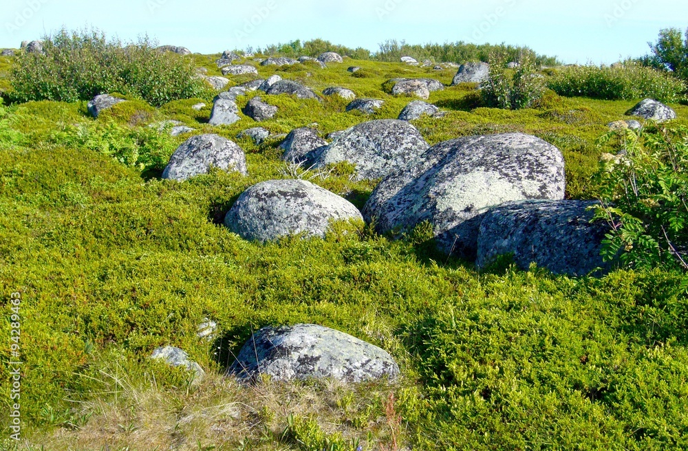 Mystic stones on the Solovky island