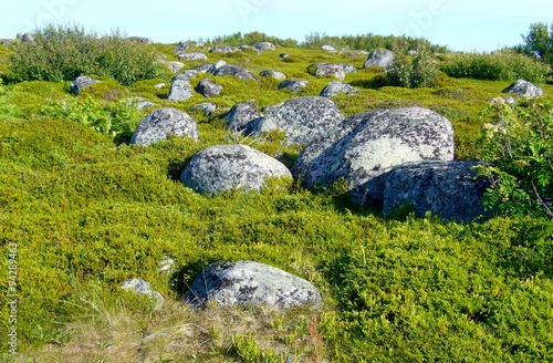 Mystic stones on the Solovky island