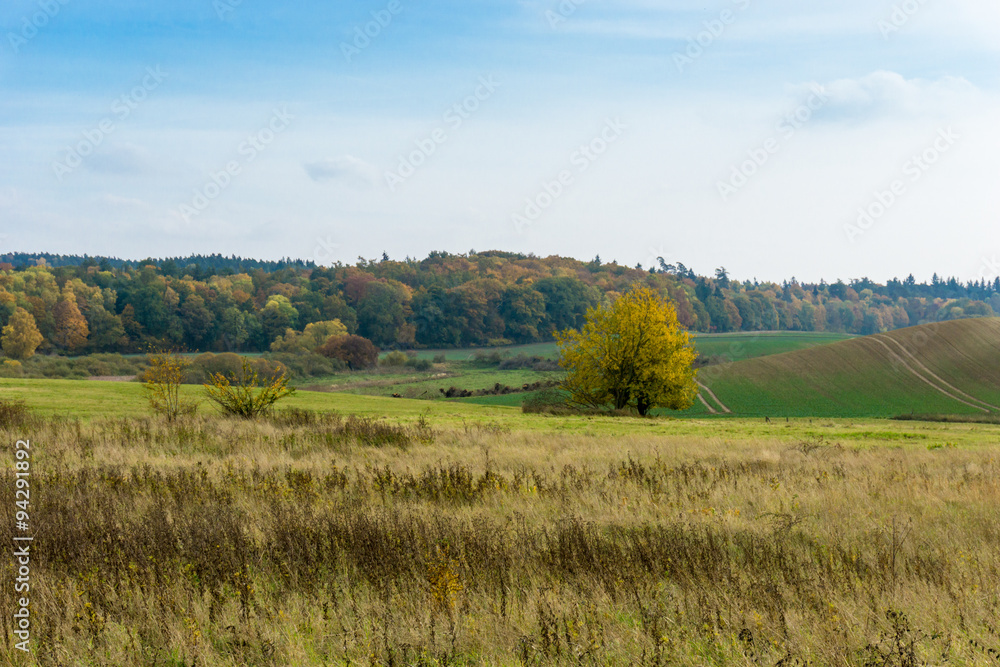 Herbstlandschaft