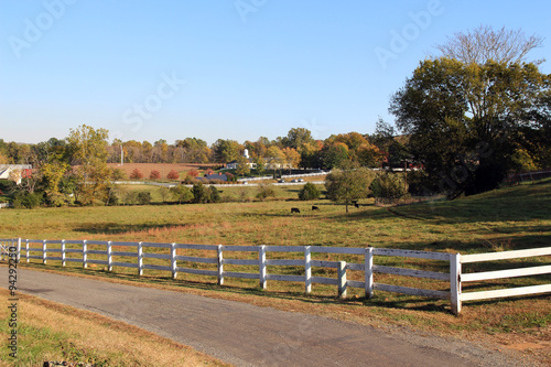 Typical American farm landscape in the fall, Barboursville, Virginia photo