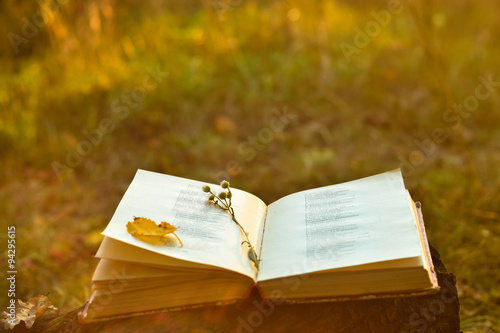 Vintage book of poetry outdoors photo