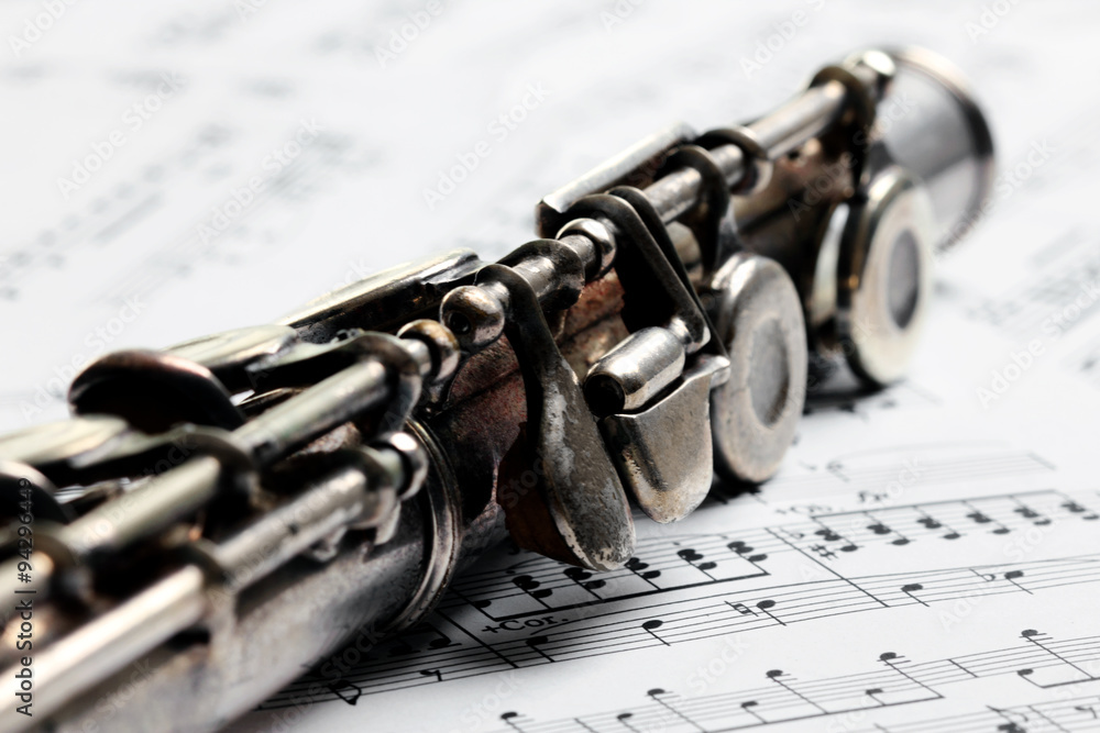 Obraz premium Old rusty silver flute on music notes