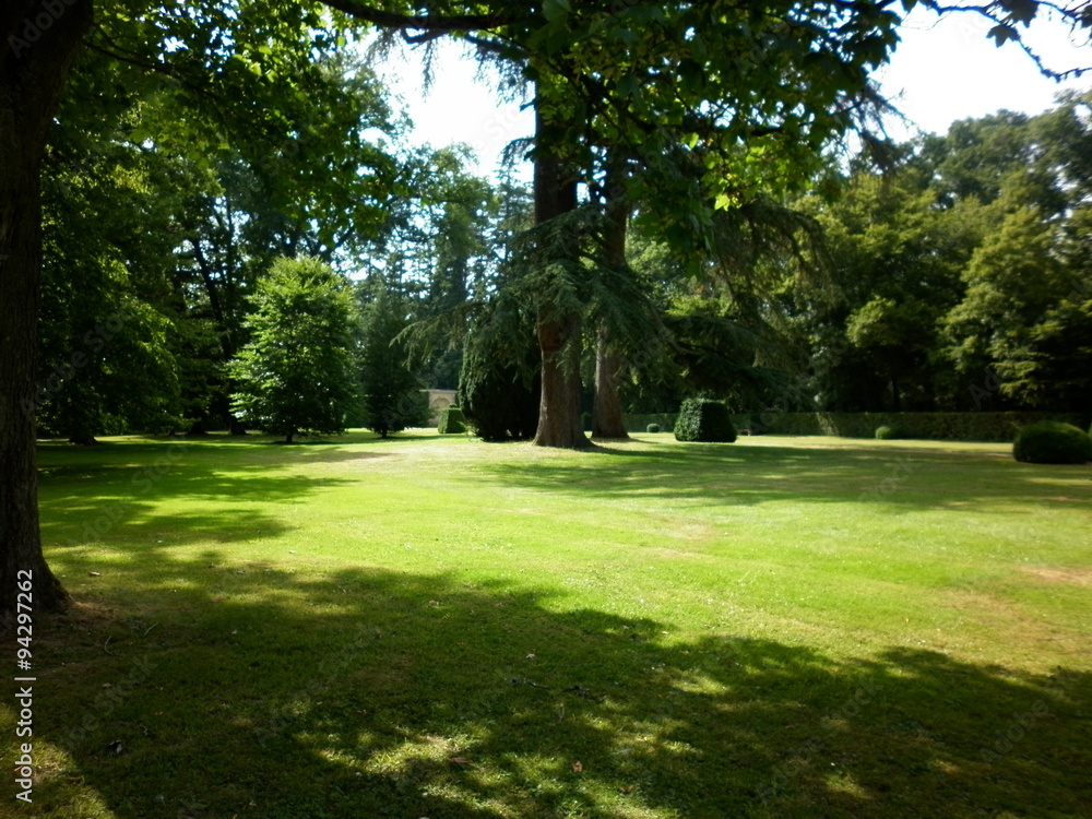 Fototapeta premium Parc