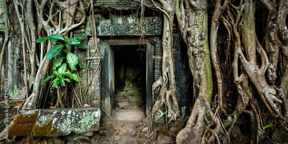 Ancient stone door and tree roots, Ta Prohm temple Ancient stone door and tree roots, Ta Prohm temple