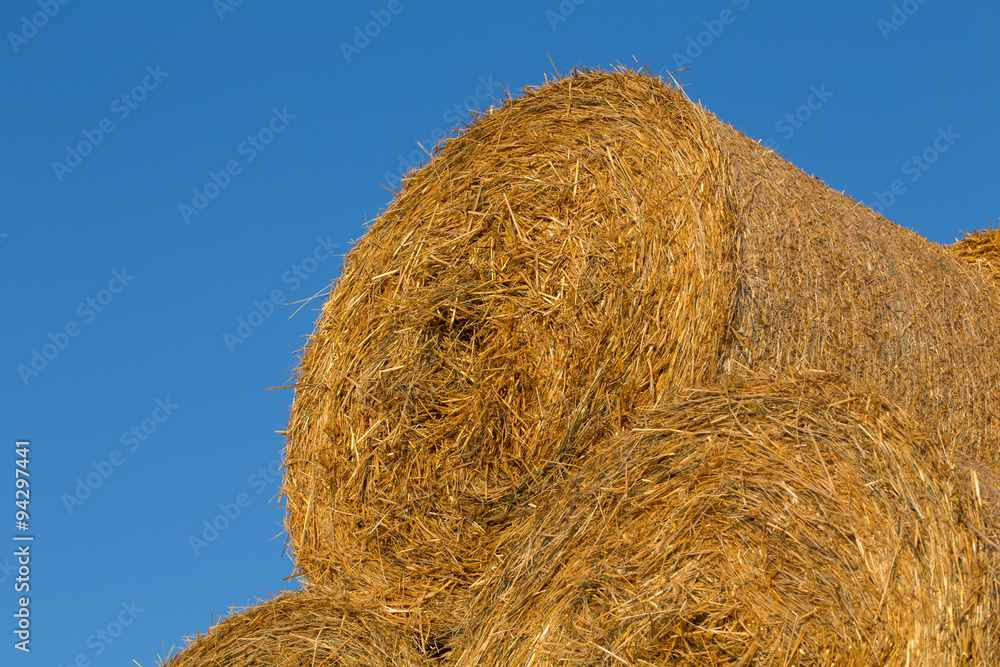Piled hay bales on a field against blue sky Piled hay bales on a field against blue sky