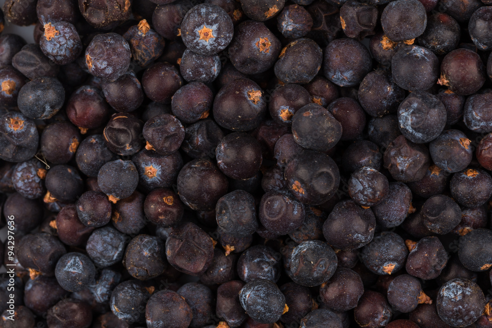 Fototapeta premium Dried black currant