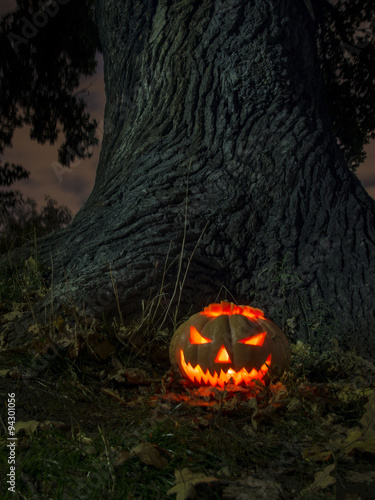 Spooky Halloween Night © aleksasho