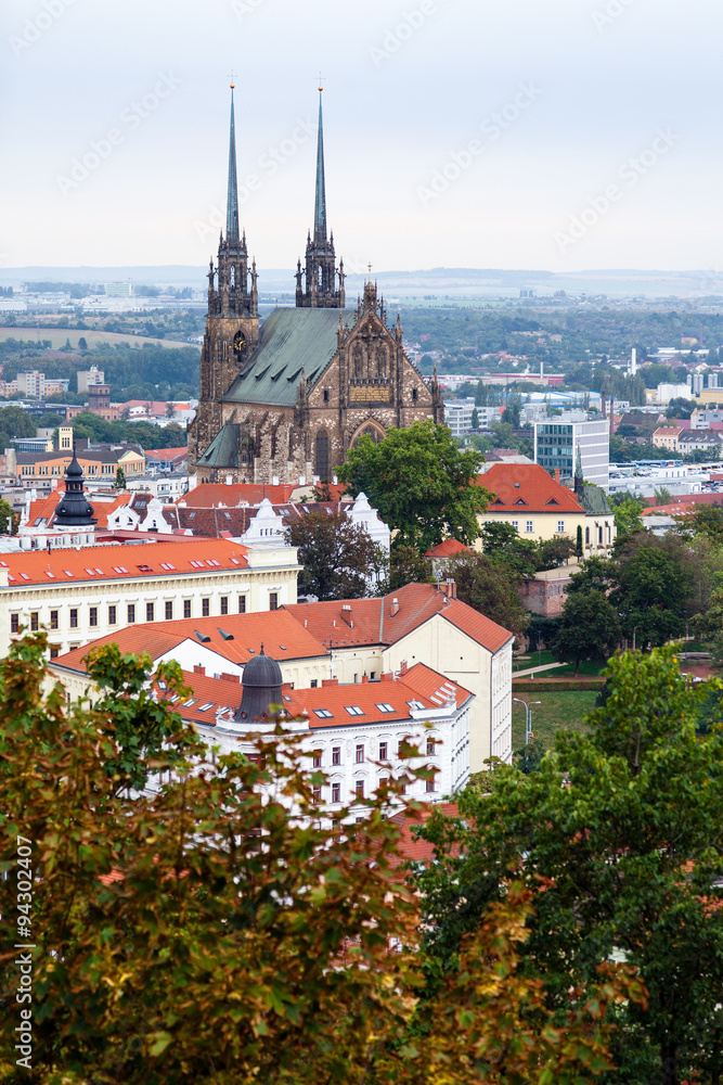 above view of Brno city with Cathedral