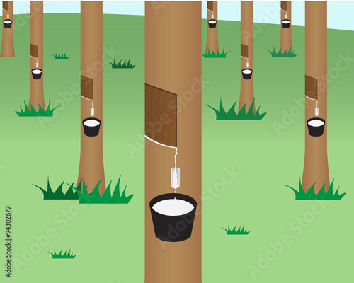 rubber tree jungle in flat style