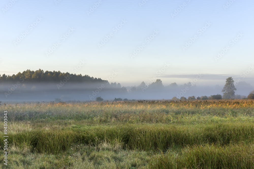 Foggy meadow during the sunrise in Poland