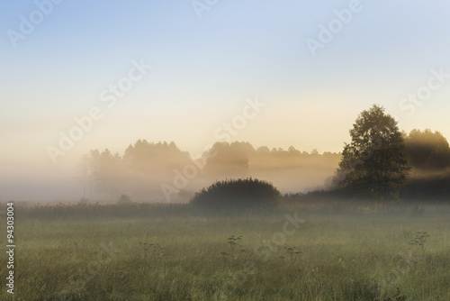 Morning fog in the Kruszyniany, Poland