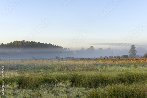 Foggy meadow during the sunrise in Poland