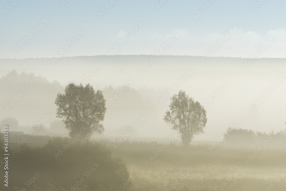 Foggy morning in the autumn time in Poland Foggy morning in the autumn time in Poland