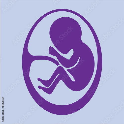 Human fetus vector