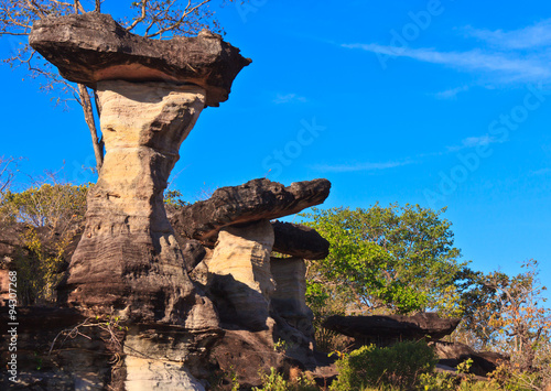 Natural scene: Mushroom stone with plant environment at Pha Taem national park in Ubon Ratchathani province, Thailand