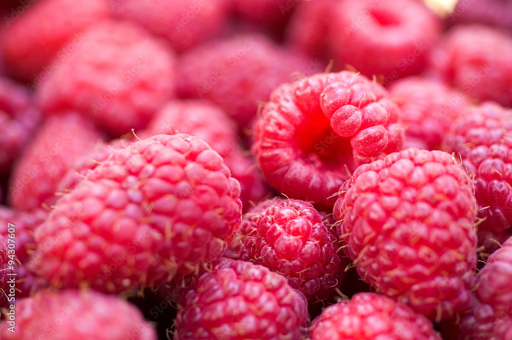 Delicious first class fresh raspberries close up texture - background Delicious first class fresh raspberries close up texture - background