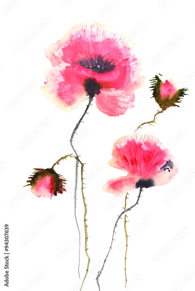 Modern art poppy flowers on white, watercolor illustrator