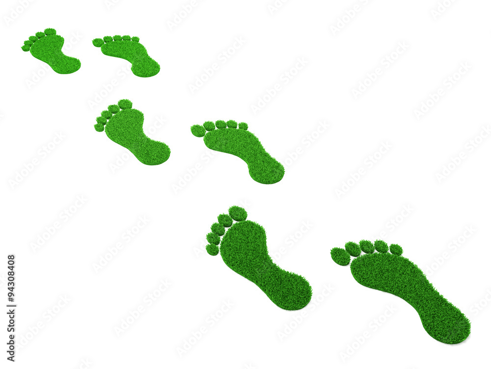 Grass Footprint Grass Footprint