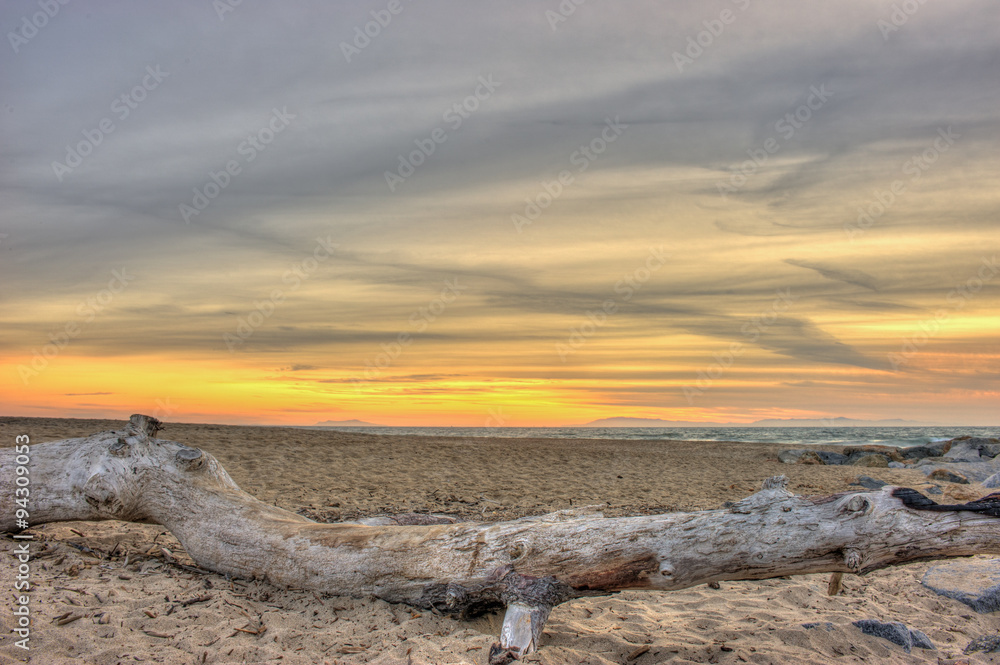 Large driftwood log makes perfect seating to view beach sunset. Large driftwood log makes perfect seating to view beach sunset.