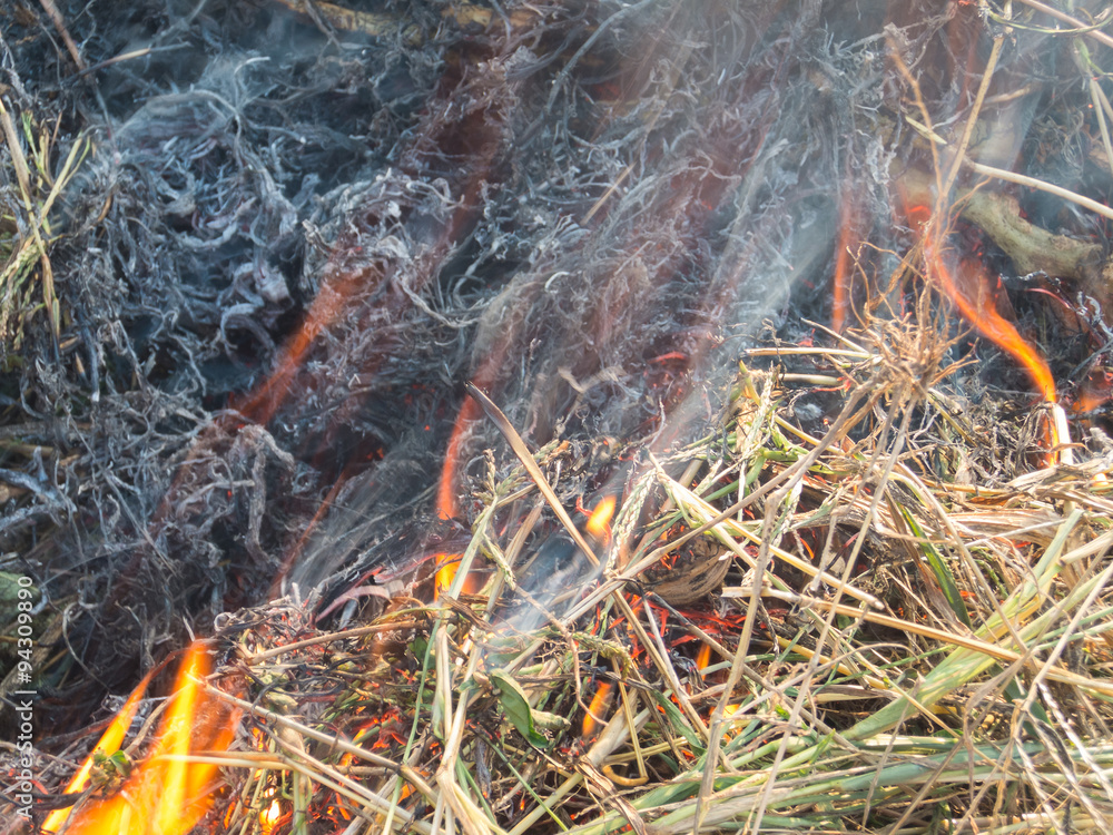 Fire, fire, smoke in the autumn forest Fire, fire, smoke in the autumn forest