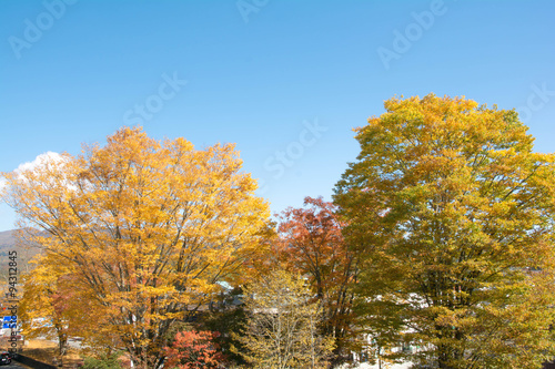 軽井沢駅前の紅葉