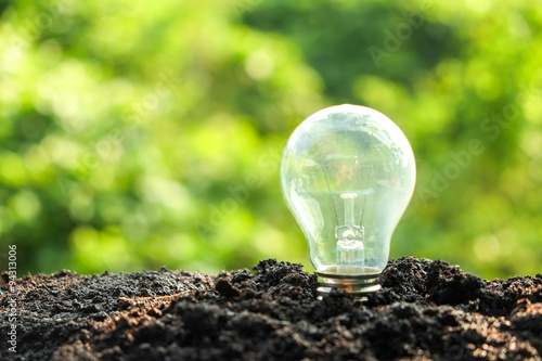 idea and energy concept Light bulb in soil