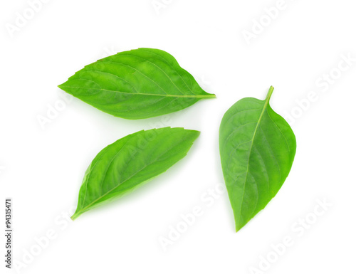 Sweet Basil isolated on white background.