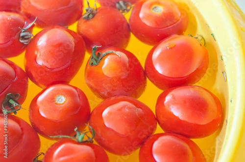 Very fresh tomatoes presented in water before canning or cooking photo