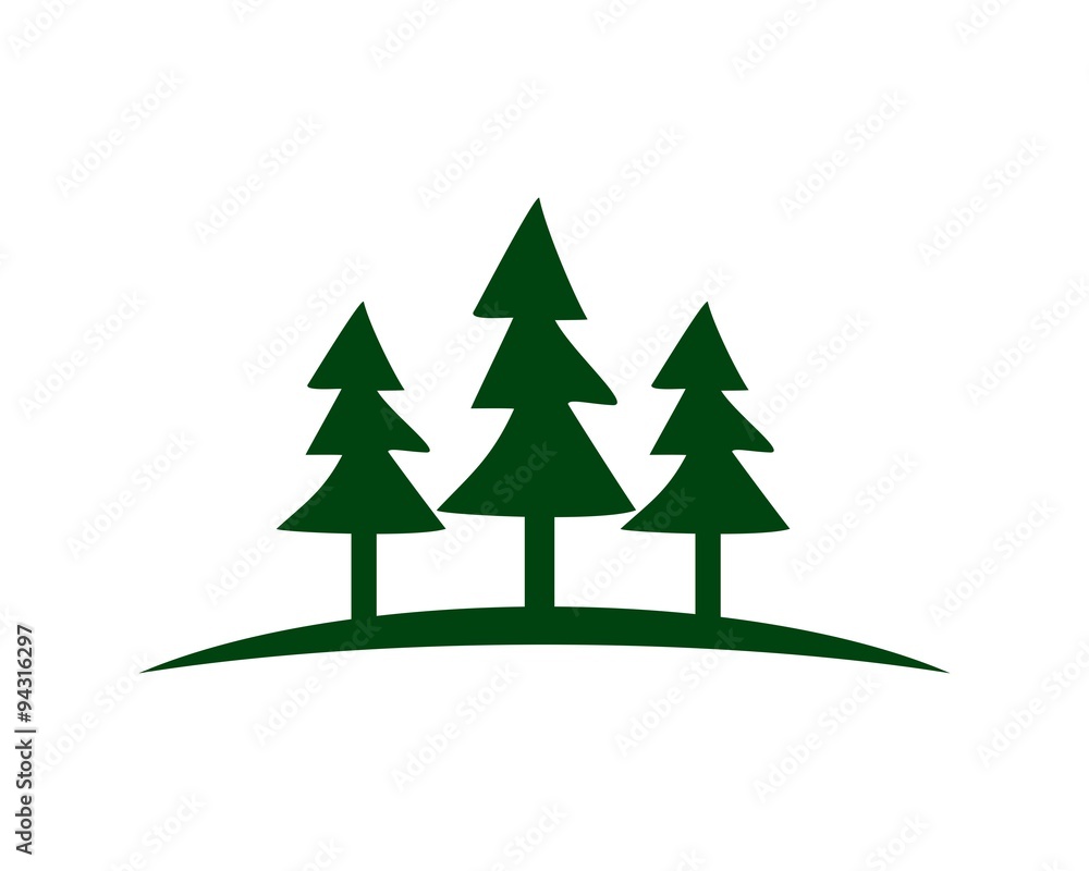 Obraz premium pine tree