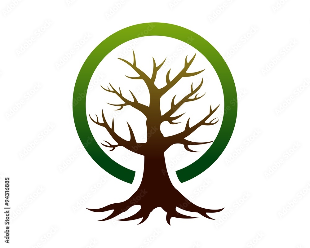 Obraz premium tree business