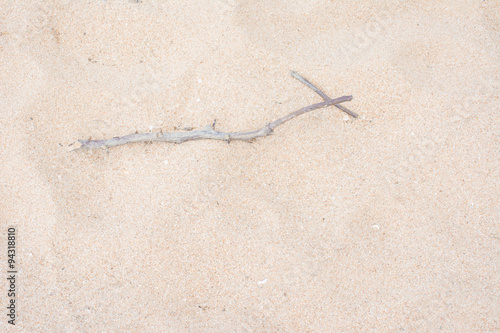 molder branch on sand