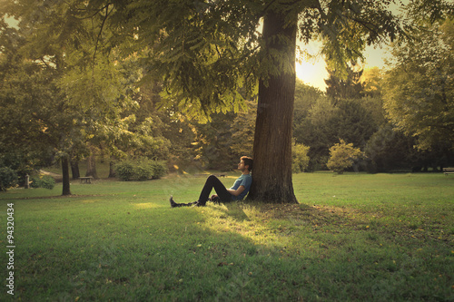 Man sitting under a pine tree photo