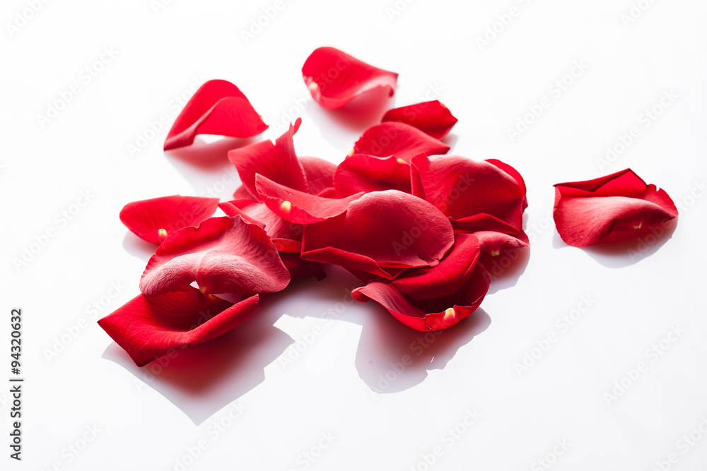 Naklejka premium Rosenblüten