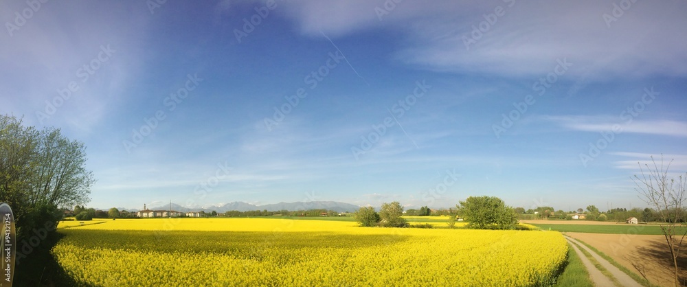 Fototapeta premium passeggiata in Brianza
