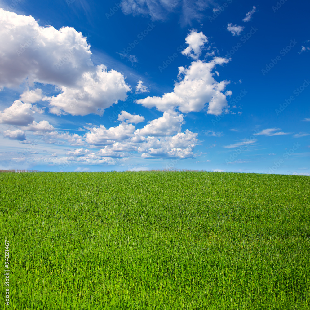 Cereal fields by The Way of Saint James in Castilla