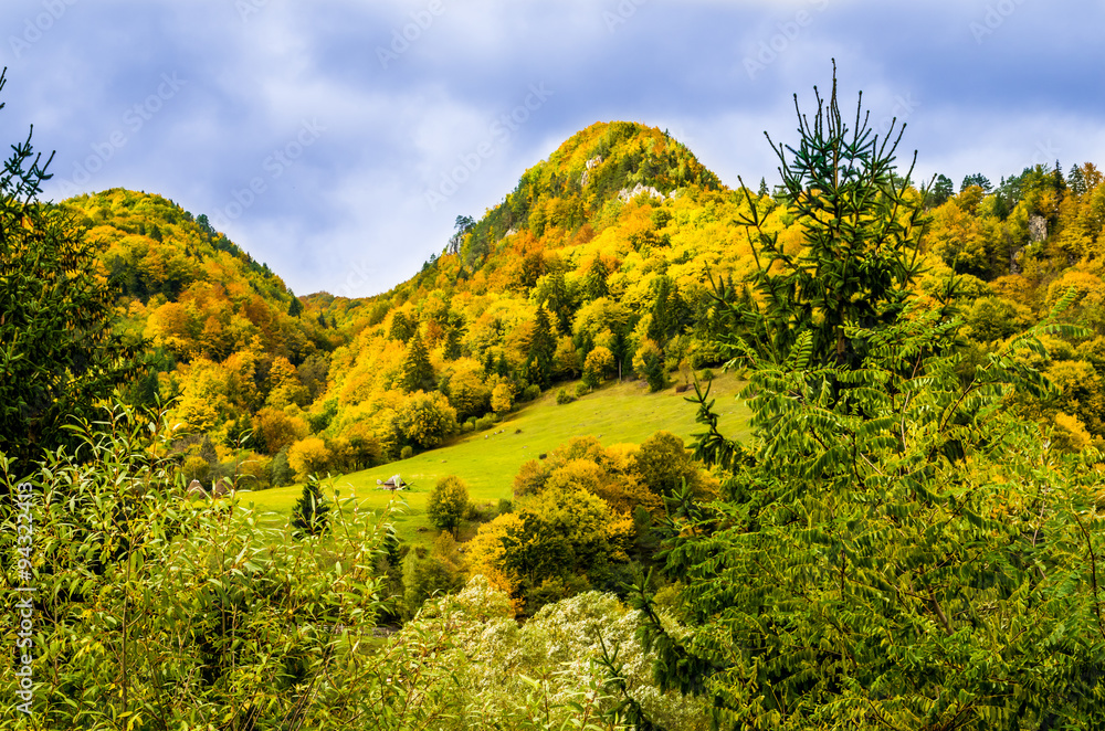 The colors of autumn. Autumn landscape in mountains with colorful forest and blue sky. The colors of autumn. Autumn landscape in mountains with colorful forest and blue sky.