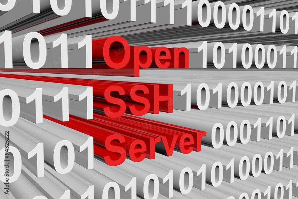 Open SSH Server is represented as a binary code