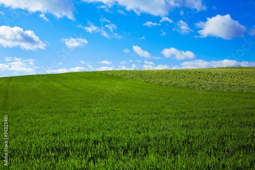 Cereal fields by The Way of Saint James in Castilla