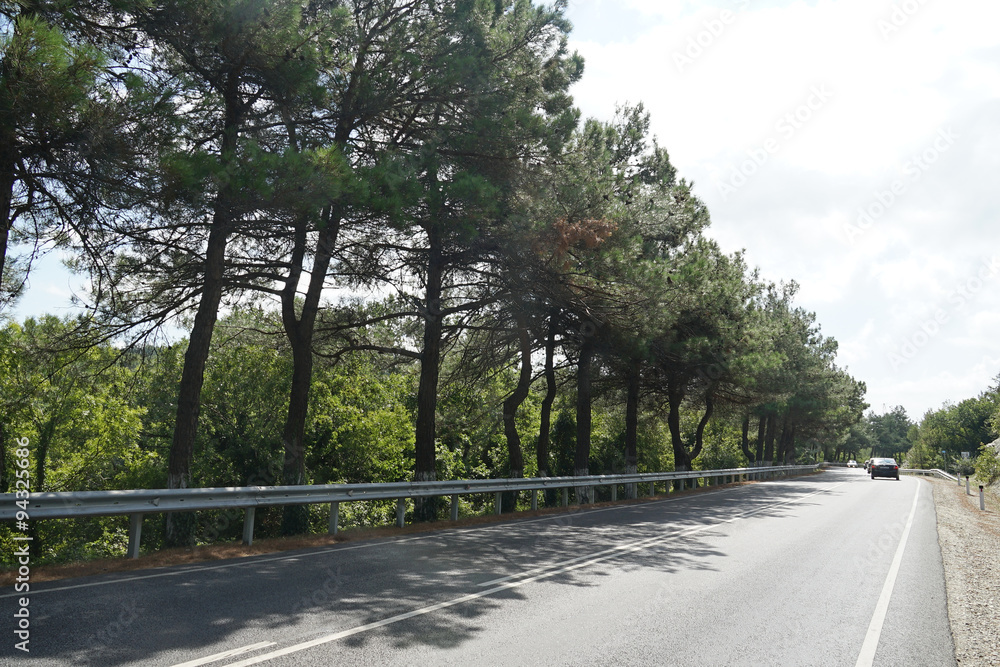 Fototapeta premium road