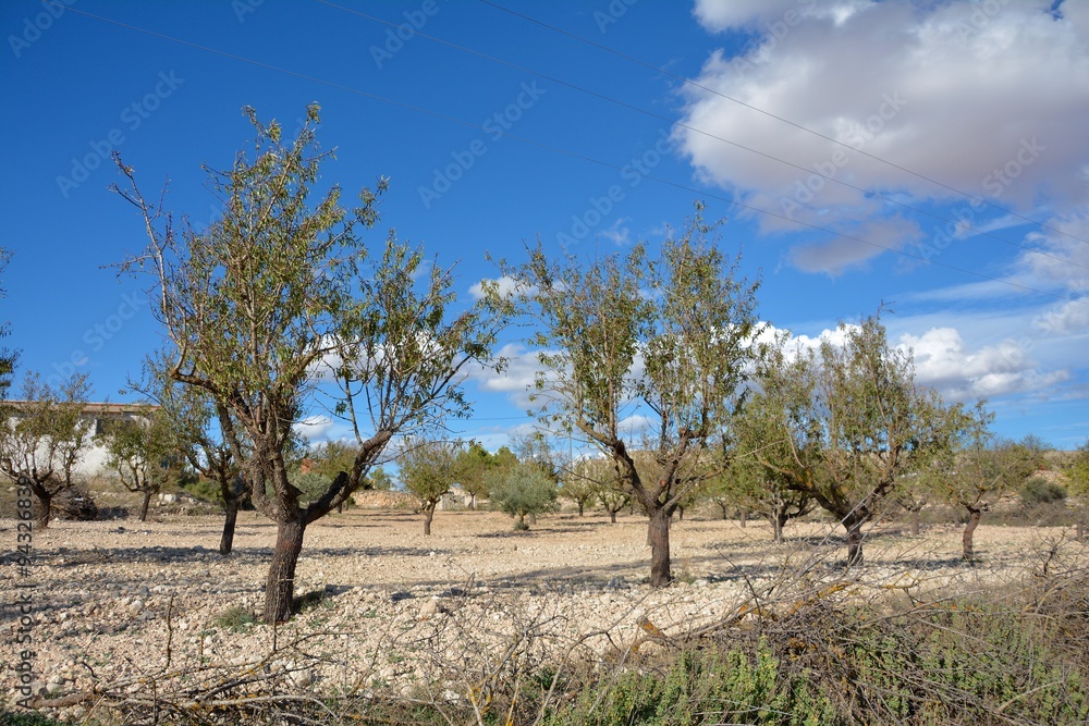 Paisajes en Alcalá del Júcar Paisajes en Alcalá del Júcar