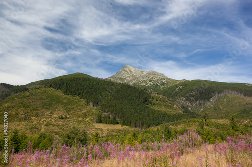 high mountains - Krivan, High Tatra