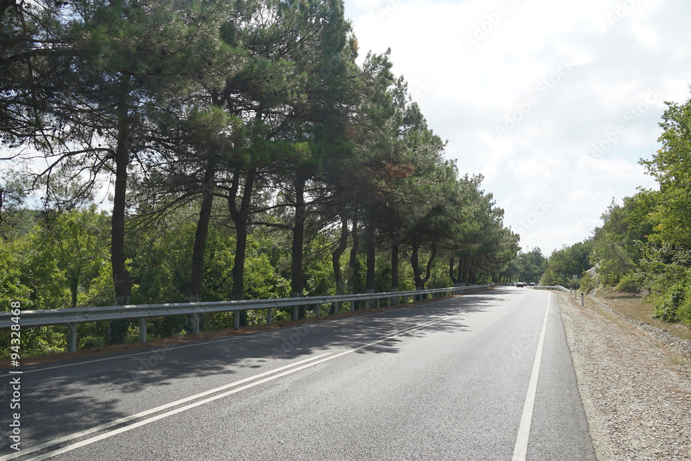 Fototapeta premium road