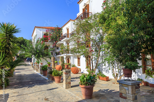 Small alley, decorated with Mediterranean plants and flowers, in Ormos Marathokampos on the Greek island of Samos in the Aegean Sea