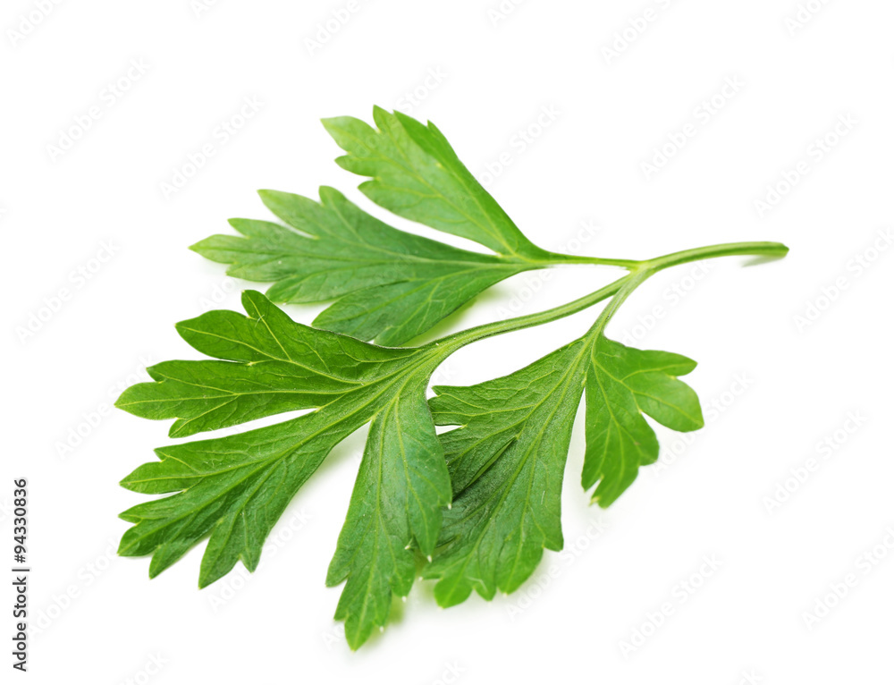 Fototapeta premium Fresh parsley isolated on white