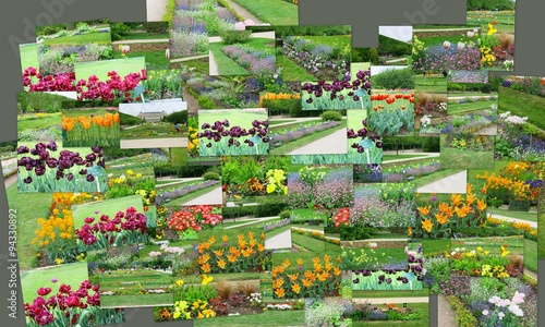 composition,plantes,fleurs,dans parc au printemps