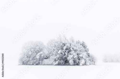 Verschneite Hütte mit Bäumen im Nebel