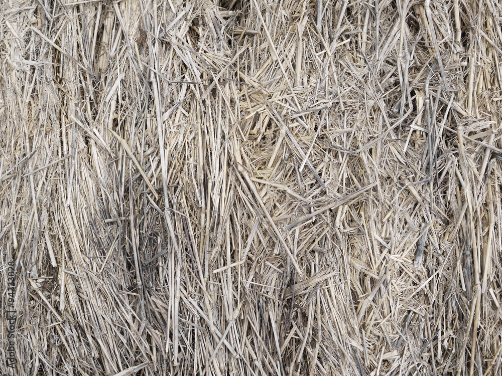straw as textured background straw as textured background