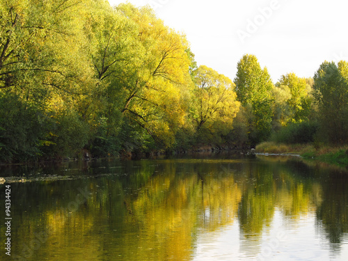 trees with yellow and green leaves on the bank of a river in autumn in the evening