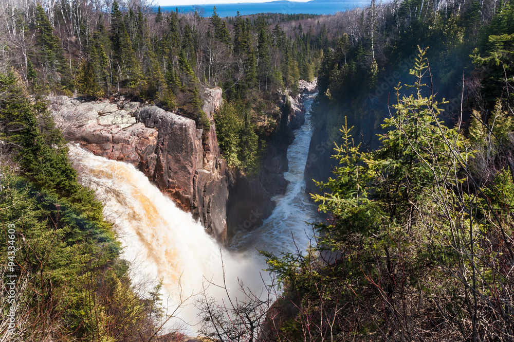 Fototapeta premium waterfalls and boreal forest, Kenora, Ontario